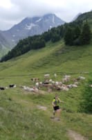 Seraina auf der Alp Tscharnoz